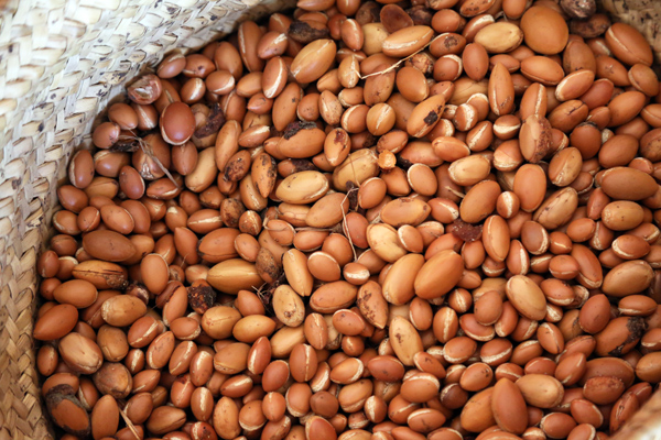 Argan Yağı Faydaları: Cilt ve Saça Faydaları