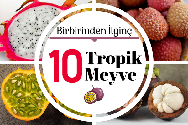 Tropik Meyveler Daha Önce Görmediğiniz 10 Değişik Meyve