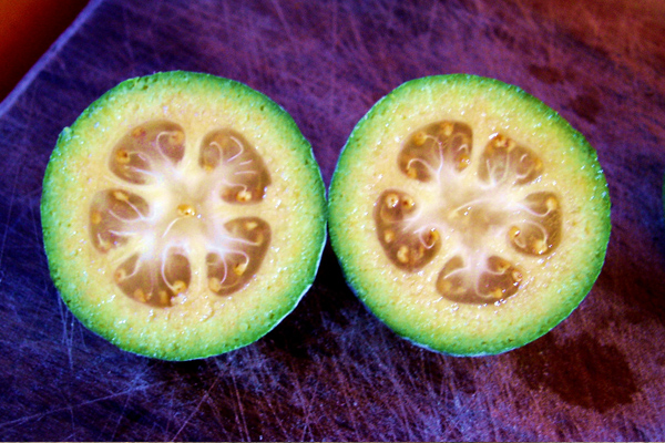 Feijoa Meyvesi Faydaları – Nefis Yemek Tarifleri