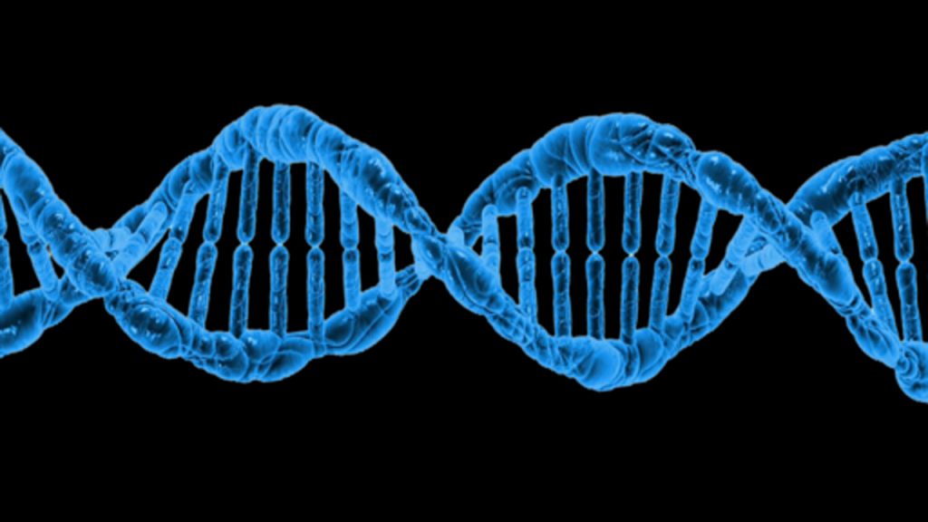 cam ve DNA kullanarak çelikten daha sağlam bir malzeme geliştirildi