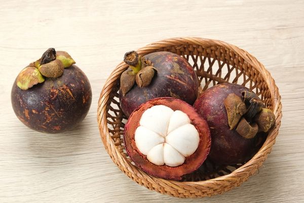 mangostan