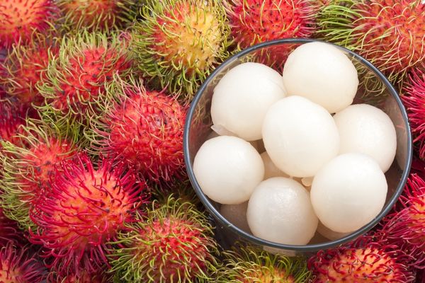  Rambutan