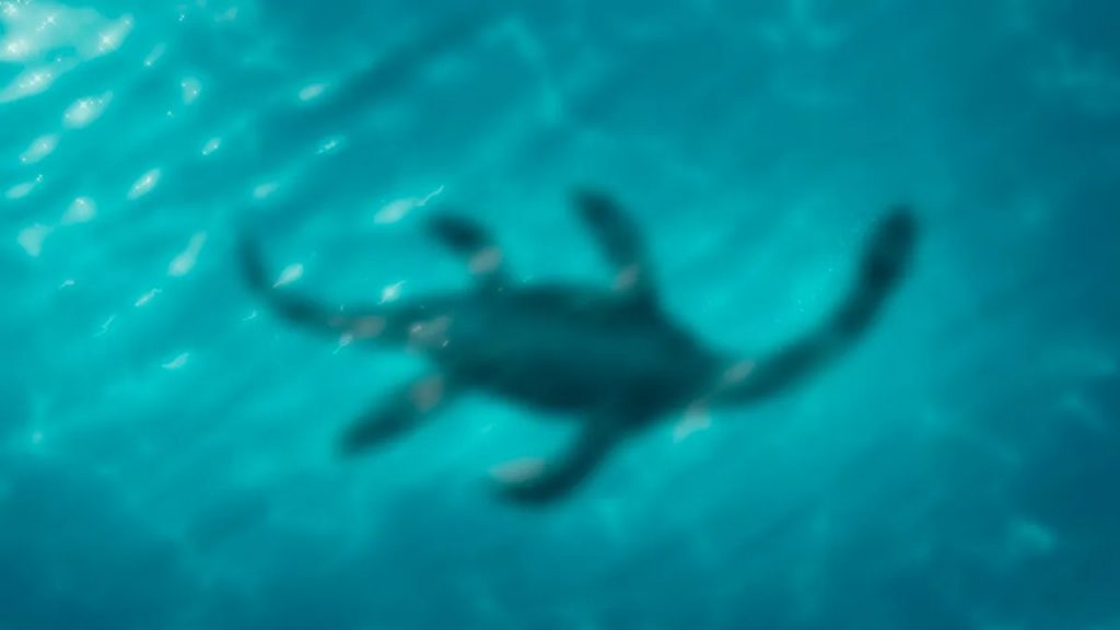 Loch Ness Canavarı için yapılan arama çalışmalarında heyecan verici sesler duyuldu