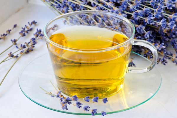 Lavanta Çayı Faydaları, Ne İşe Yarar? Nasıl Demlenir?